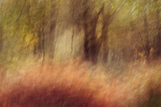 What is Intentional Camera Movement?